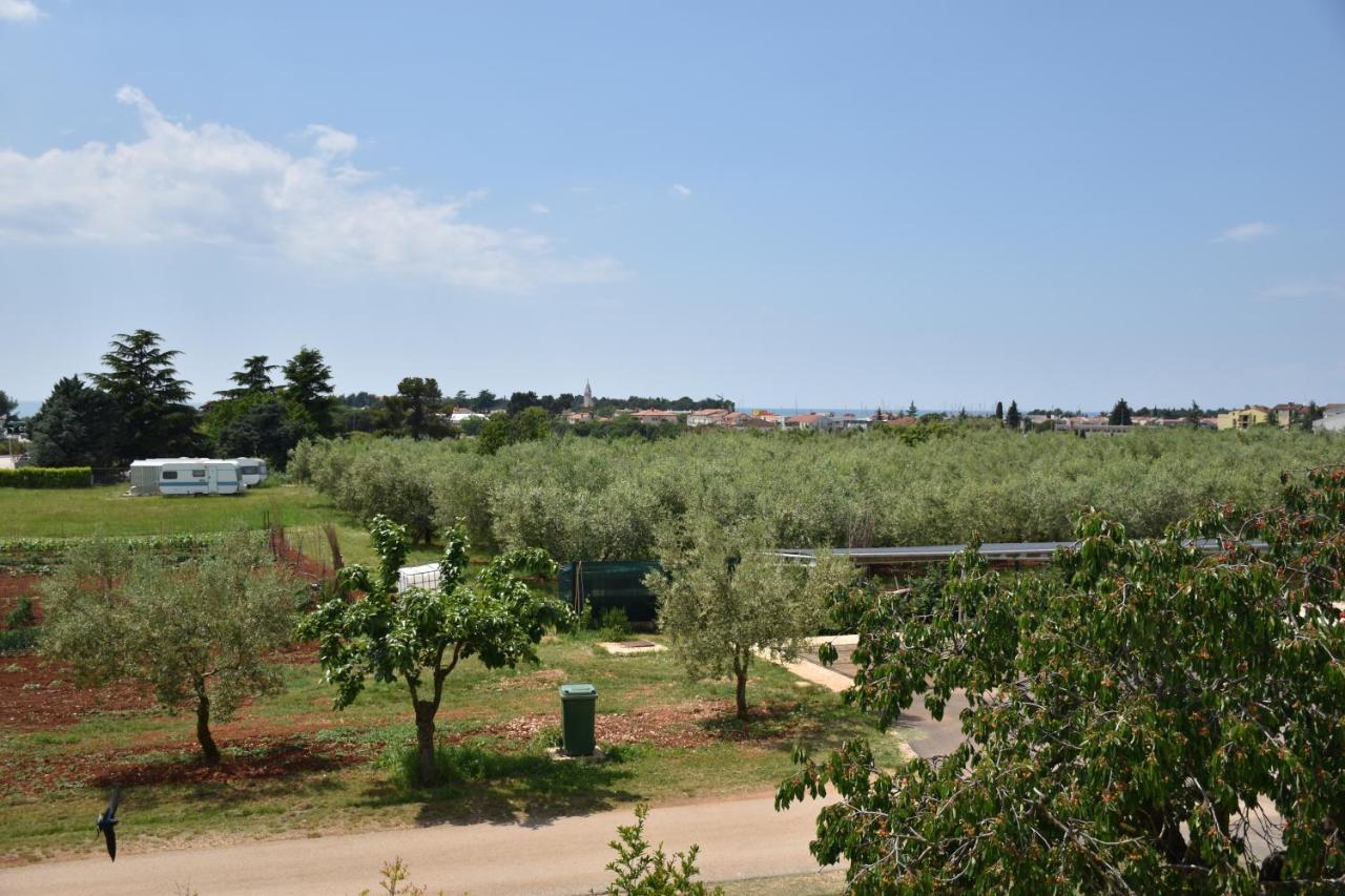 Apartmani Diana Novigrad Istria Esterno foto