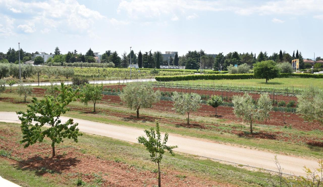 Apartmani Diana Novigrad Istria Esterno foto